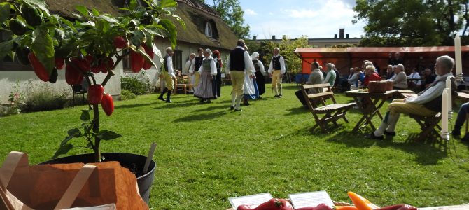 Tunnbyringen Folkdanslag har nu dansat in sitt 50:e verksamhetsår…