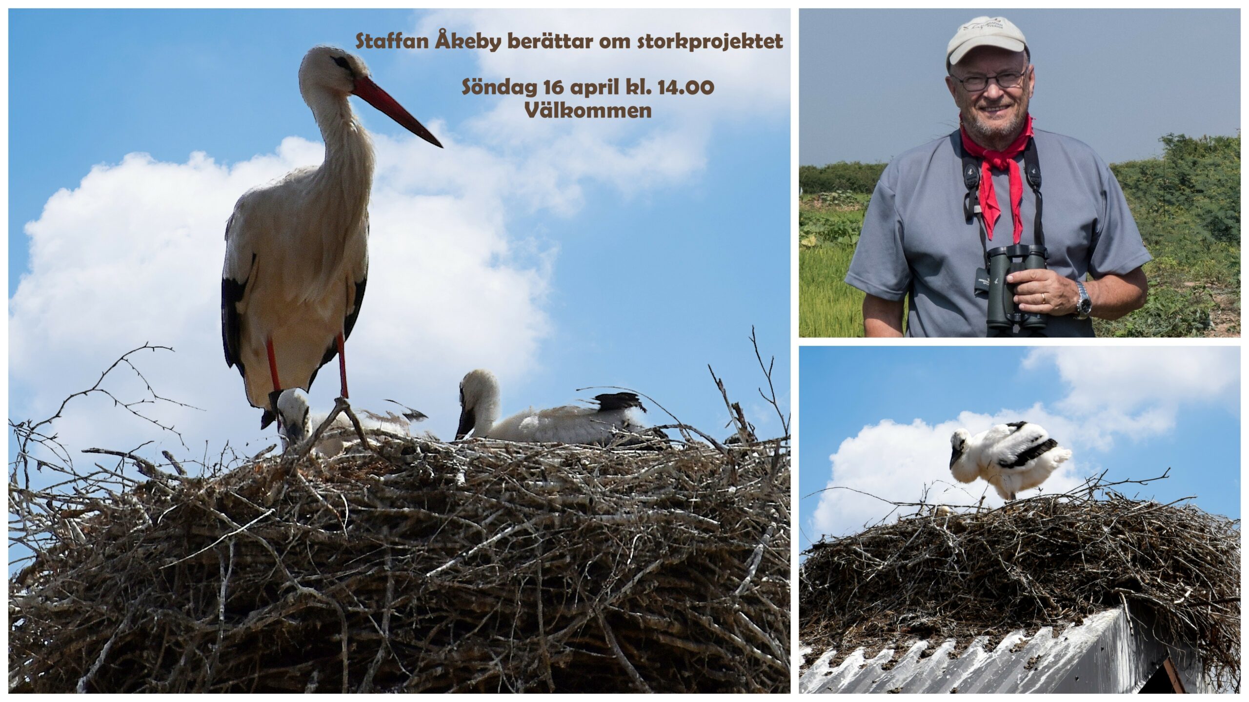 Staffan Åkeby berättar om storkprojektet 16 april